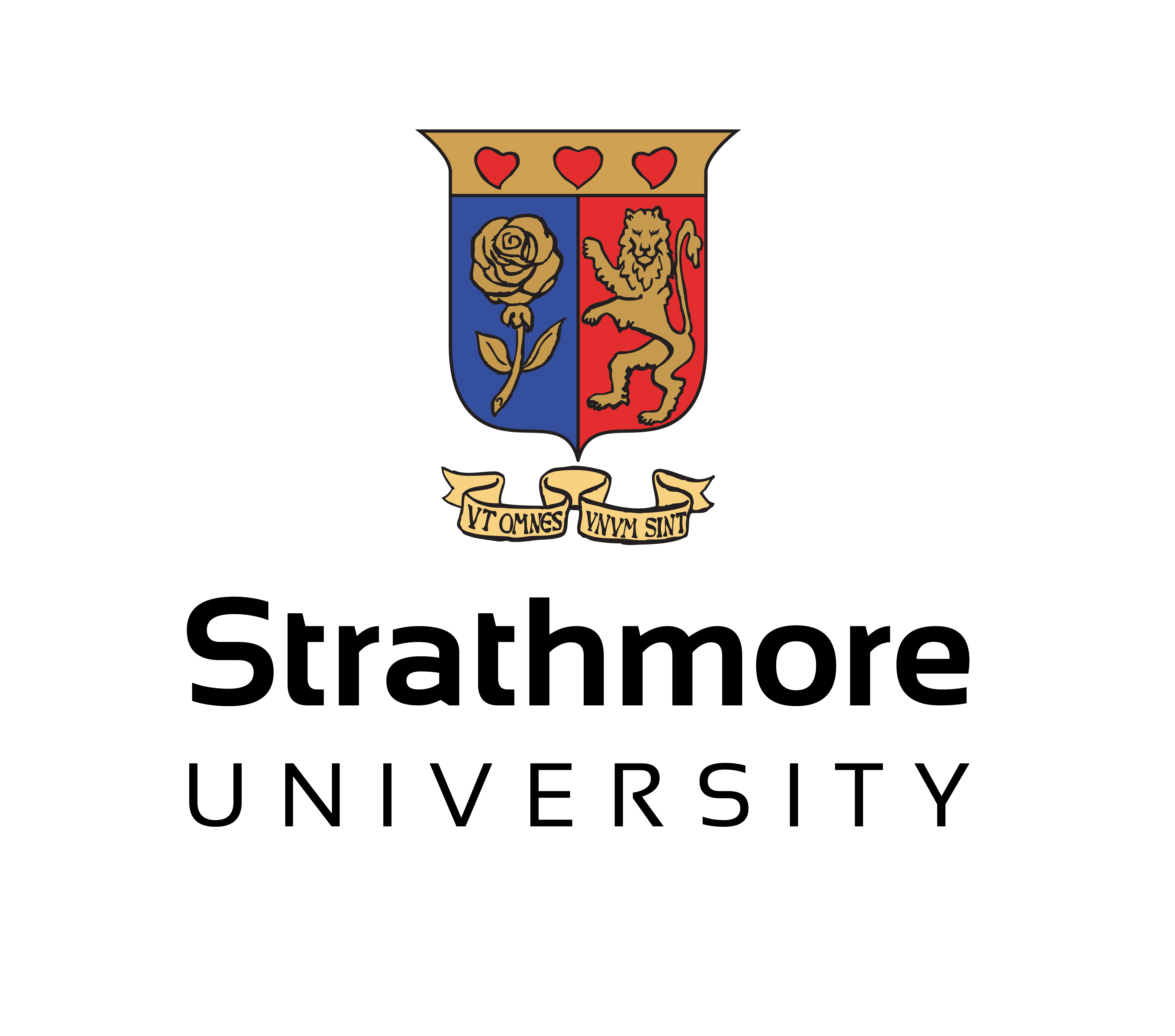 stm
